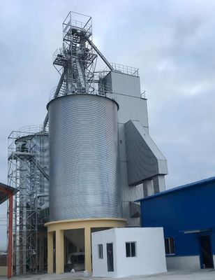 Vochtvermindering van 3-15% Paddy Dryer Machine met 60-1000 T/D-verwerkingscapaciteit en 1 jaar na-verkoop ondersteuning