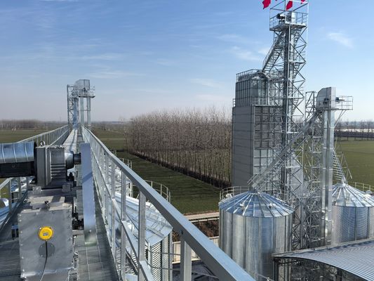 Energiebesparende rijstdroger met een droge temperatuur van 50-80 °C en een warmteverbruik van 4500-6700 kJ/kg