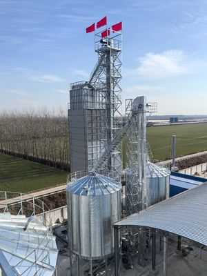 600 Ton verdubbelt de Rijst Drogere Machine, Centrifugaalpadie het Drogen Systeembrandstofbesparing