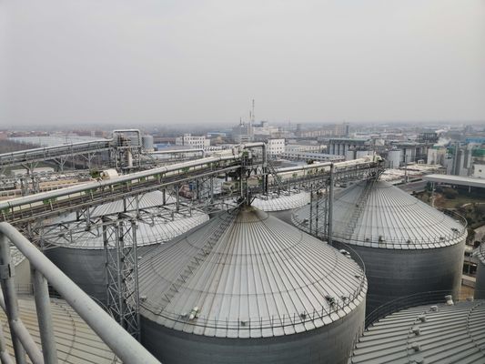 Hermetische afdichting en anti-schade technologie staal graansilo voor cruciale bewaring in de landbouwindustrie